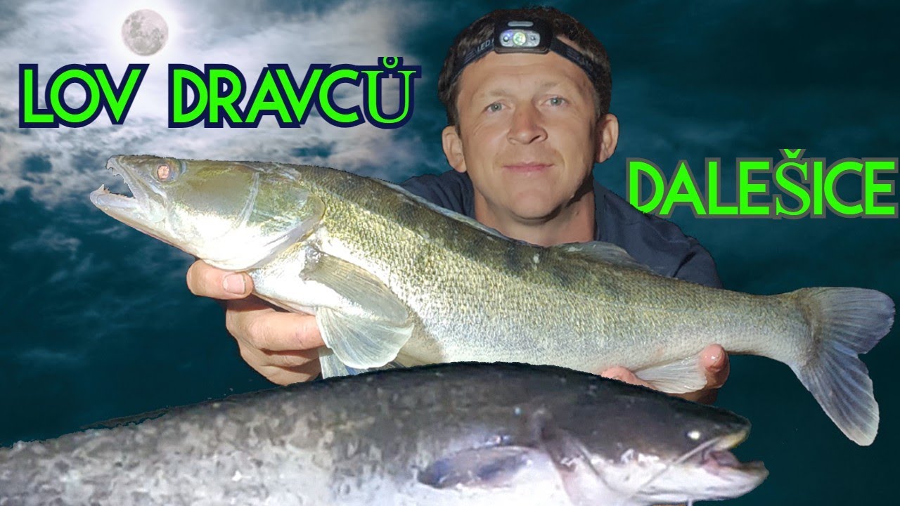Lov dravců 🎣- Dalešice (( Lov na živou🐟 i mrtvou rybku 🐠)) na položenou + recept 🍖...