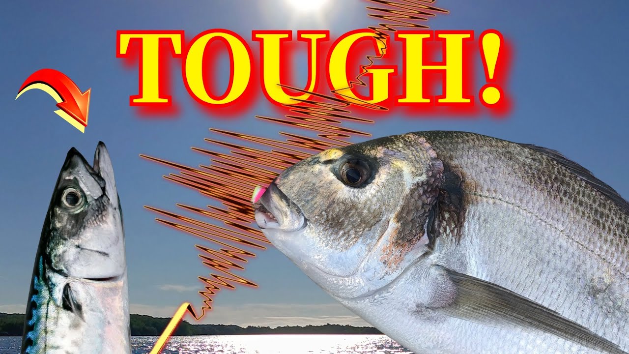 Greece Sea Fishing During an Earthquake Get In!