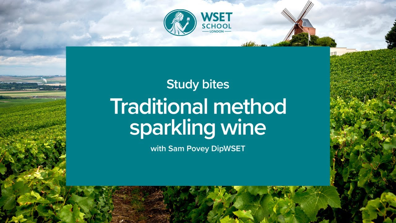 Study bites: traditional method sparkling wine (WSET Level 3 wine)
