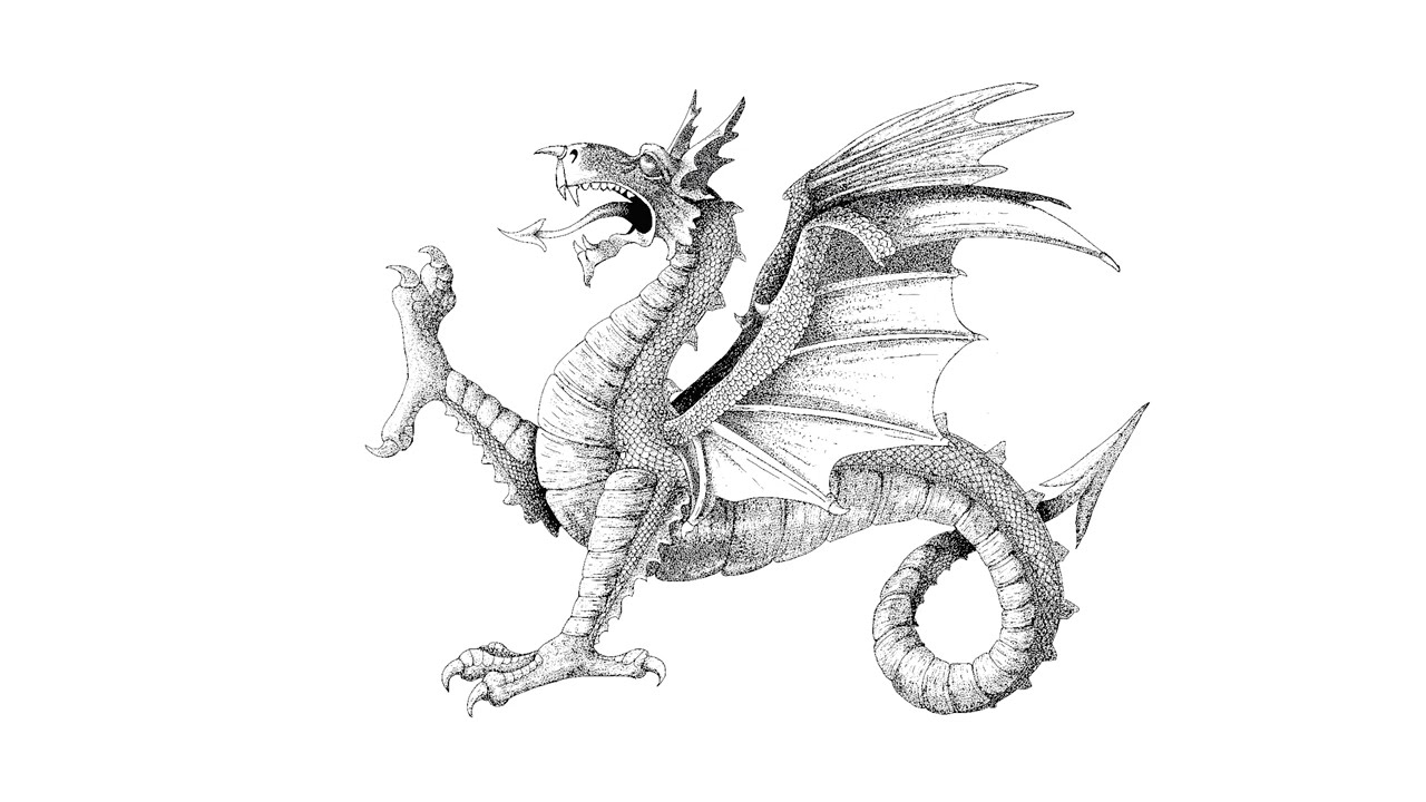 Chill and Draw: Dragon/Wyvern