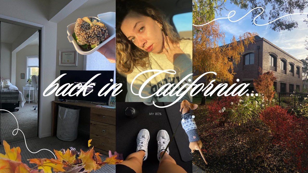 post-travel reset 🍂 body movement, eye exam, & cozy winter prep