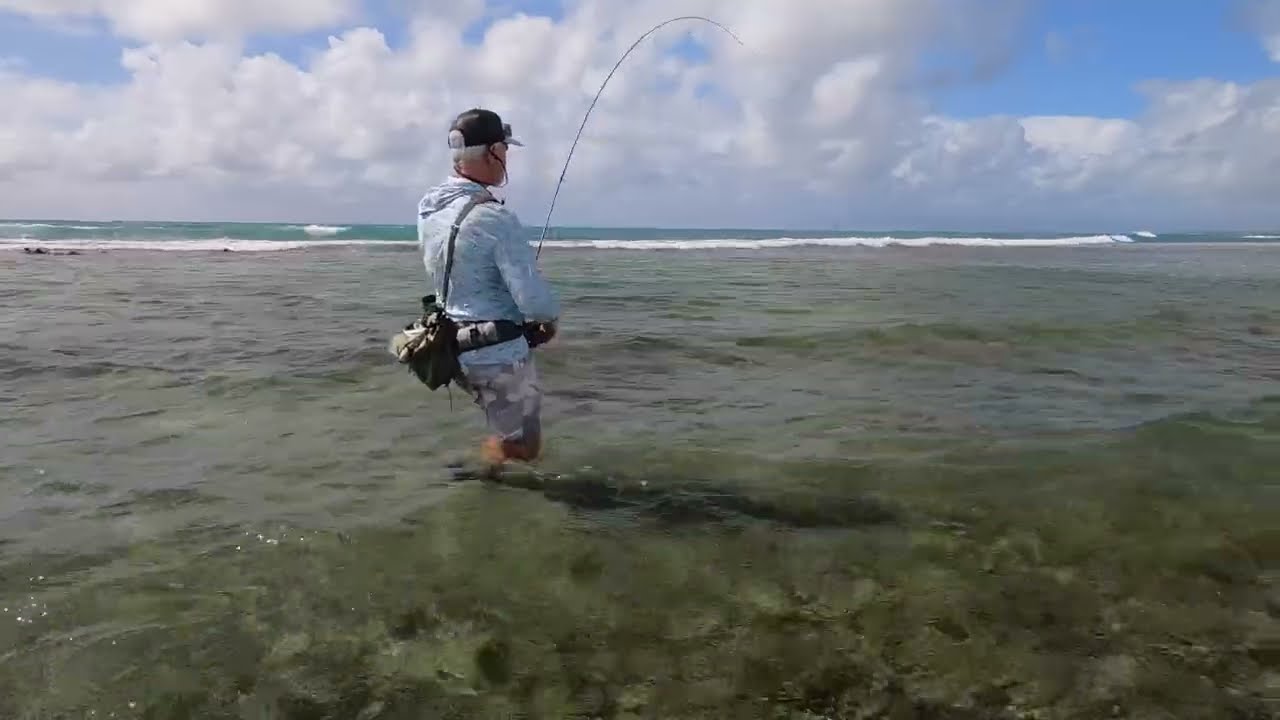 JMP Flyfishing Bonefish Gwada 01/2026 @JMPFlyfishing