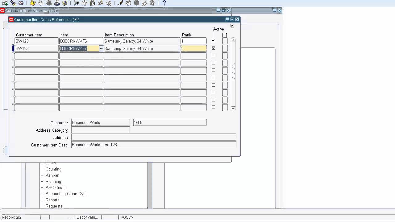 Inventory Customer Item Cross Reference