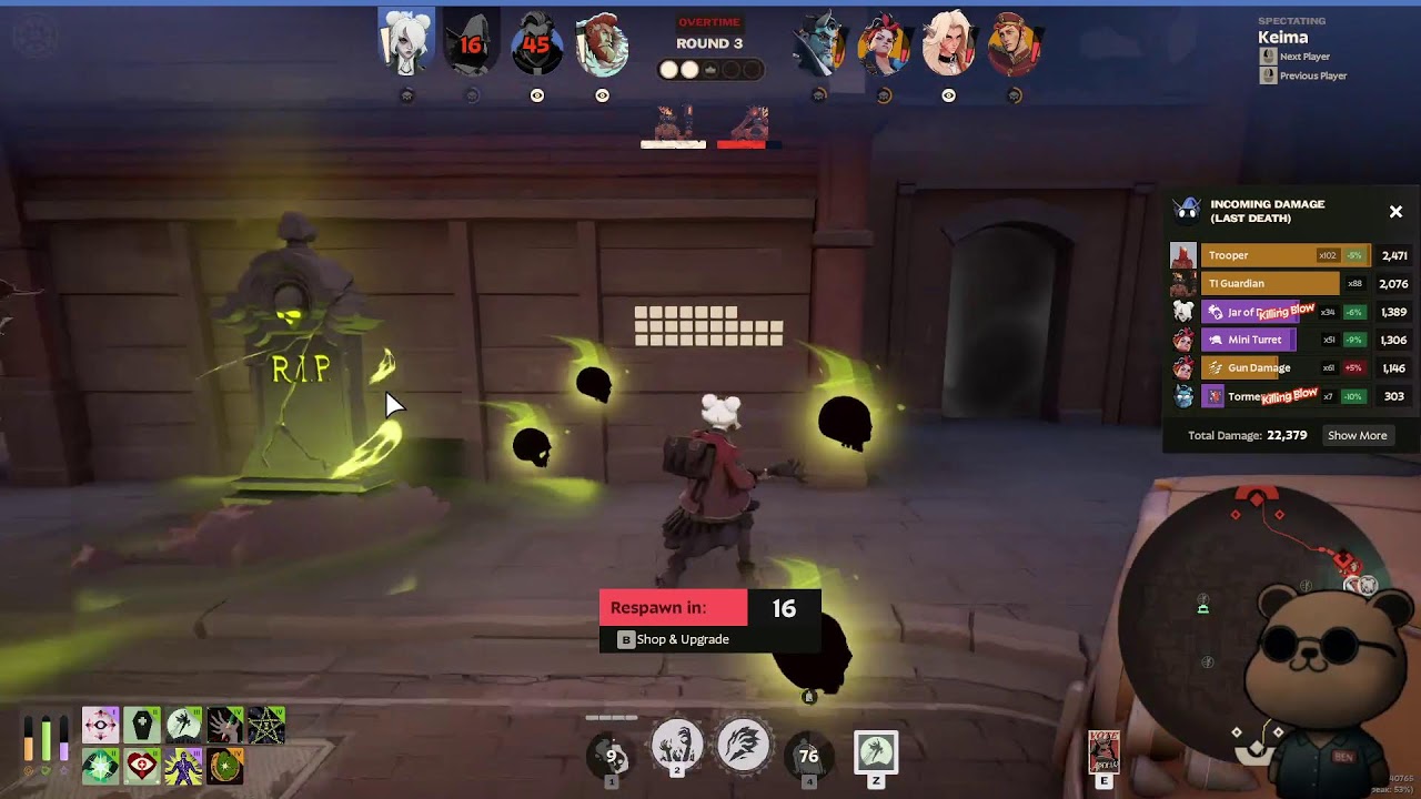 Dumb Bear Doing Dumb Things