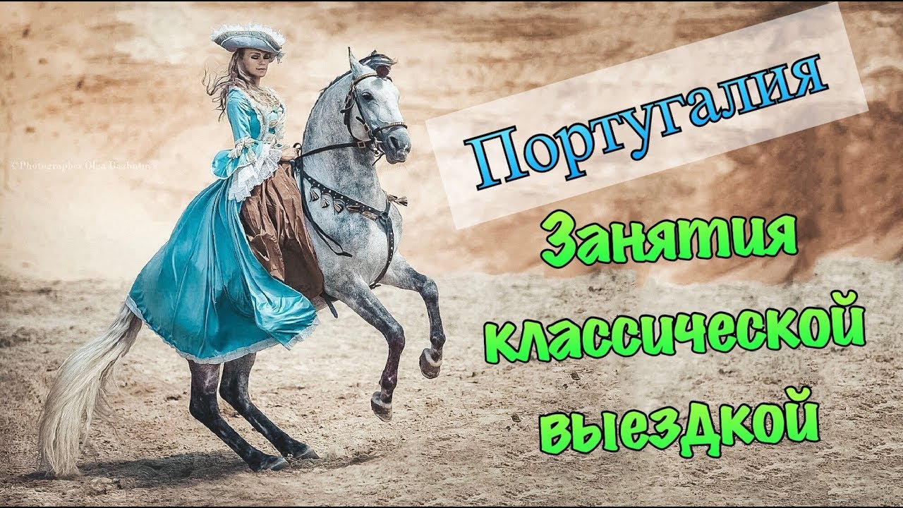 Занятия классической выездкой в школе Луиса Валенса. Dressage lessons in the school of Luís Valença