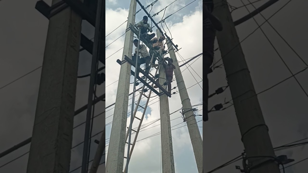 Switch maintenance 