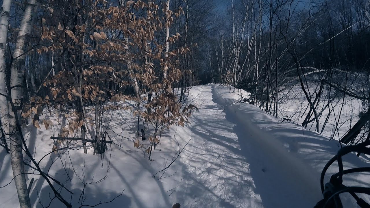 Derniere video hivernal