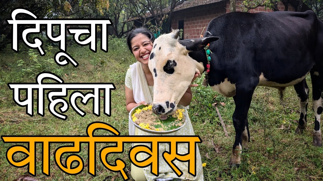दिपूचा पहिला वाढदिवस | First Birthday | Cake | Celebration | Calf