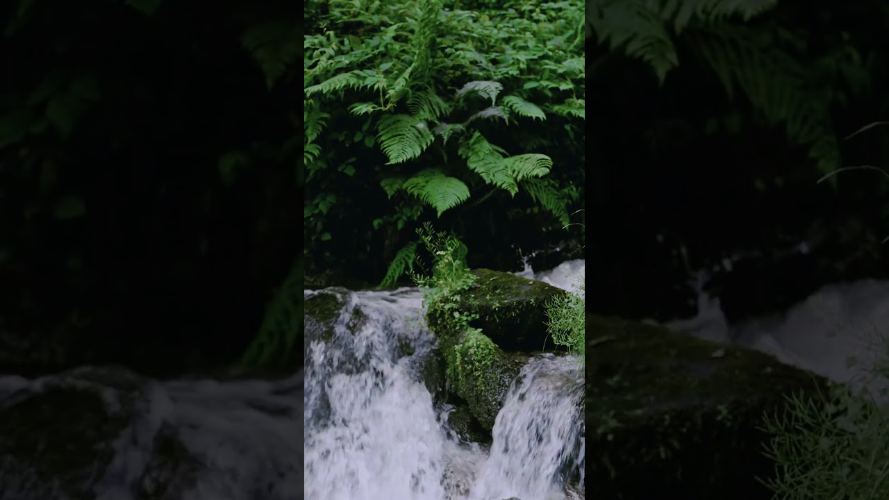 Waterfall ASMR | Nature Sounds for Relaxation, Meditation & Sleep