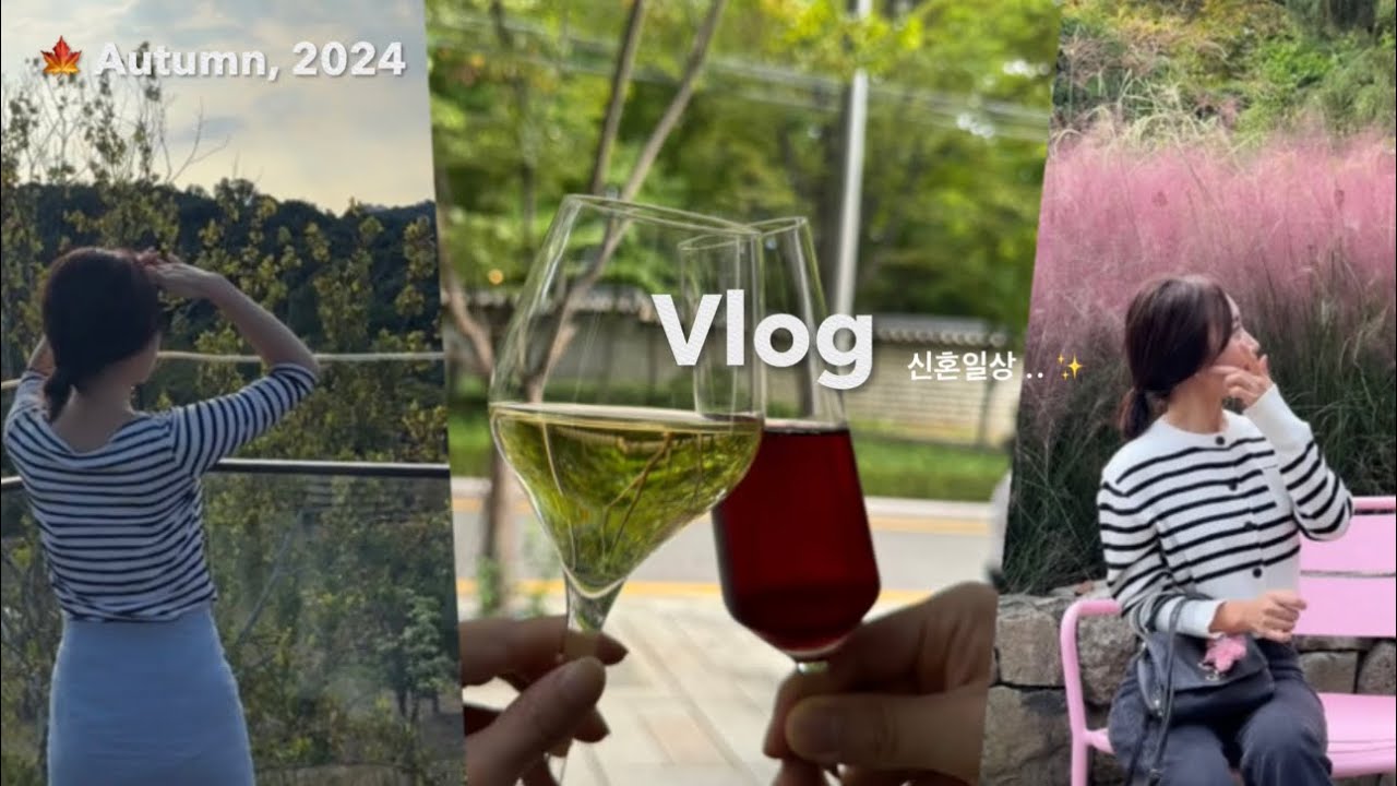 [Vlog] 2024, 화담숲 미리보기 🍁 | 세계서울불꽃축제✨ | 흑백요리사보고 파인다이닝 가기 🧑🏻‍🍳 | 신혼부부 브이로그