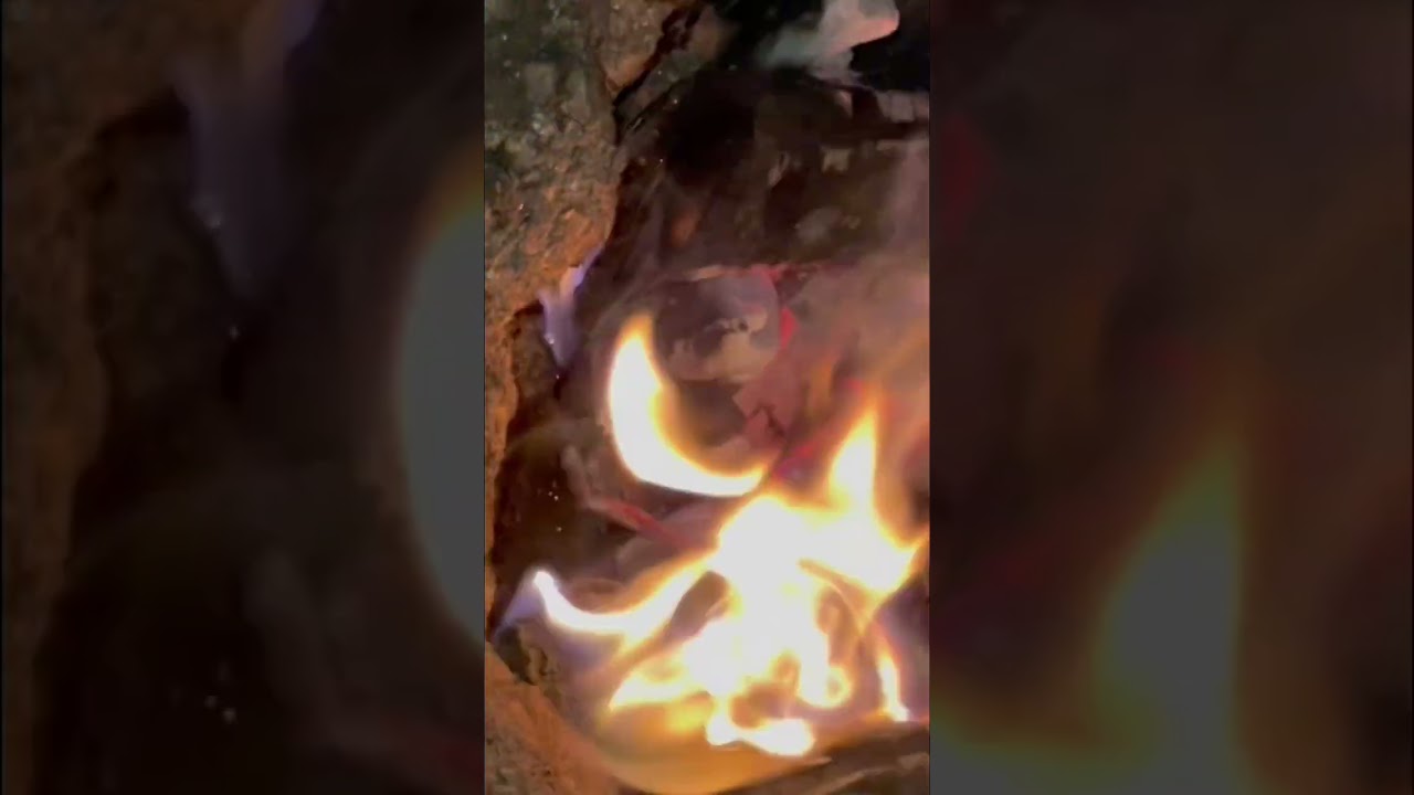 Easy recipes Rabbit roast underground #easyrecipe #cooking #shorts #foodasmr #comfortfood #recipe
