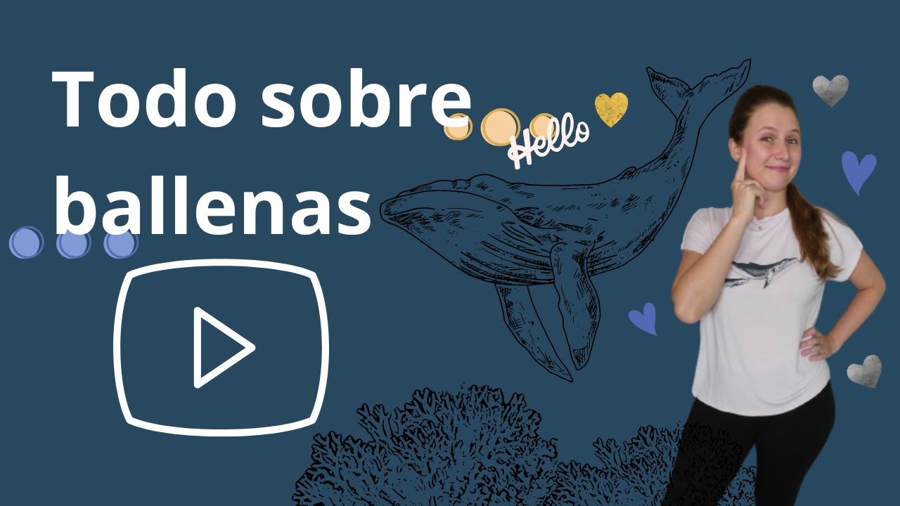 TODO SOBRE LAS BALLENAS