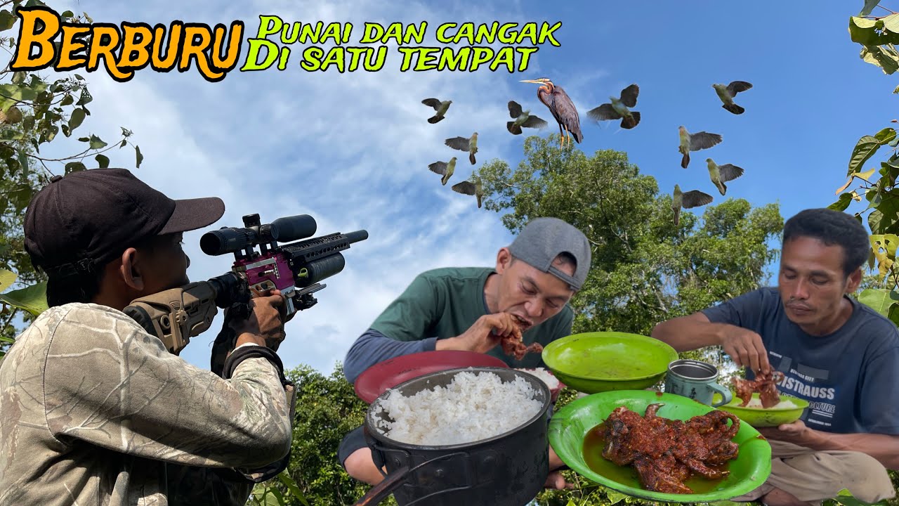 Penasaran⁉️Gerombolan punai di seberang hinggap di pokok beringin berbuah lebat