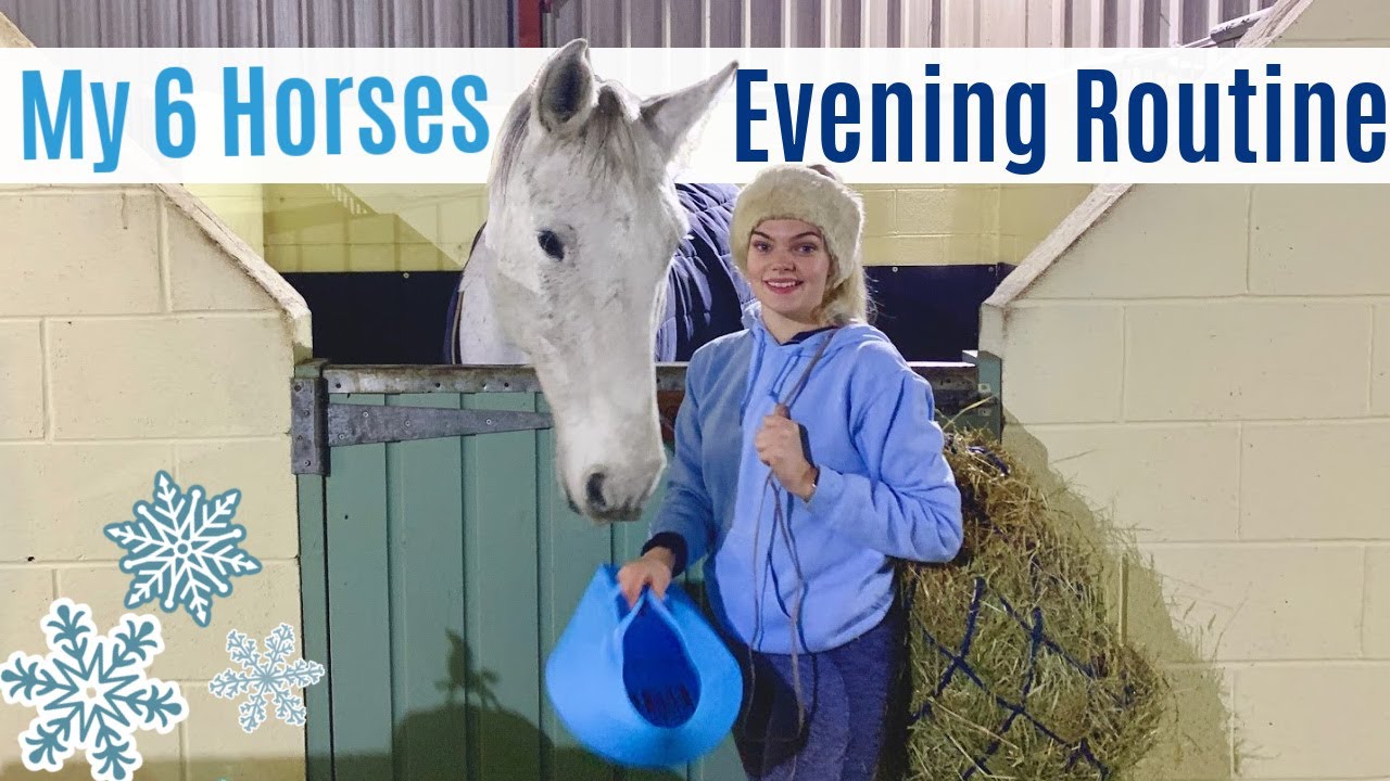 Equestrian Evening Routine | 6 Horses Autumn Winter 2020 | Lilpetchannel