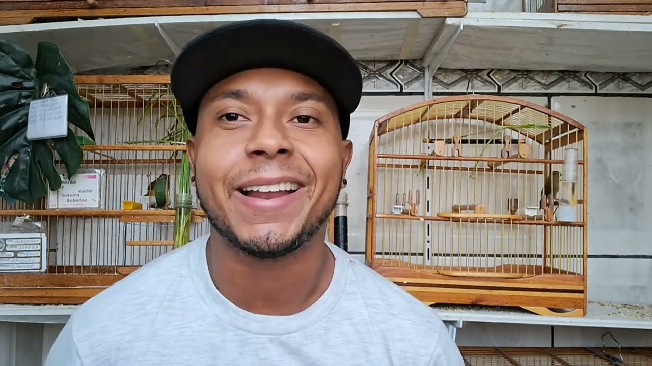 Já e FIM de temporada e nasceu 2 filhotes
