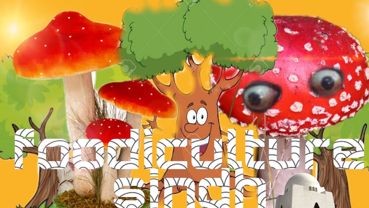 Mushroom type/thar sindh/afii's/white cap fungi