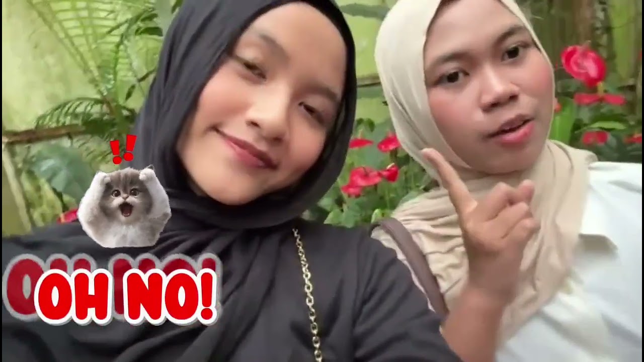 VLOG KOKULIKULER UNDIP-CELOSIA              KELOMPOK 2/XII-2/BUS 2
