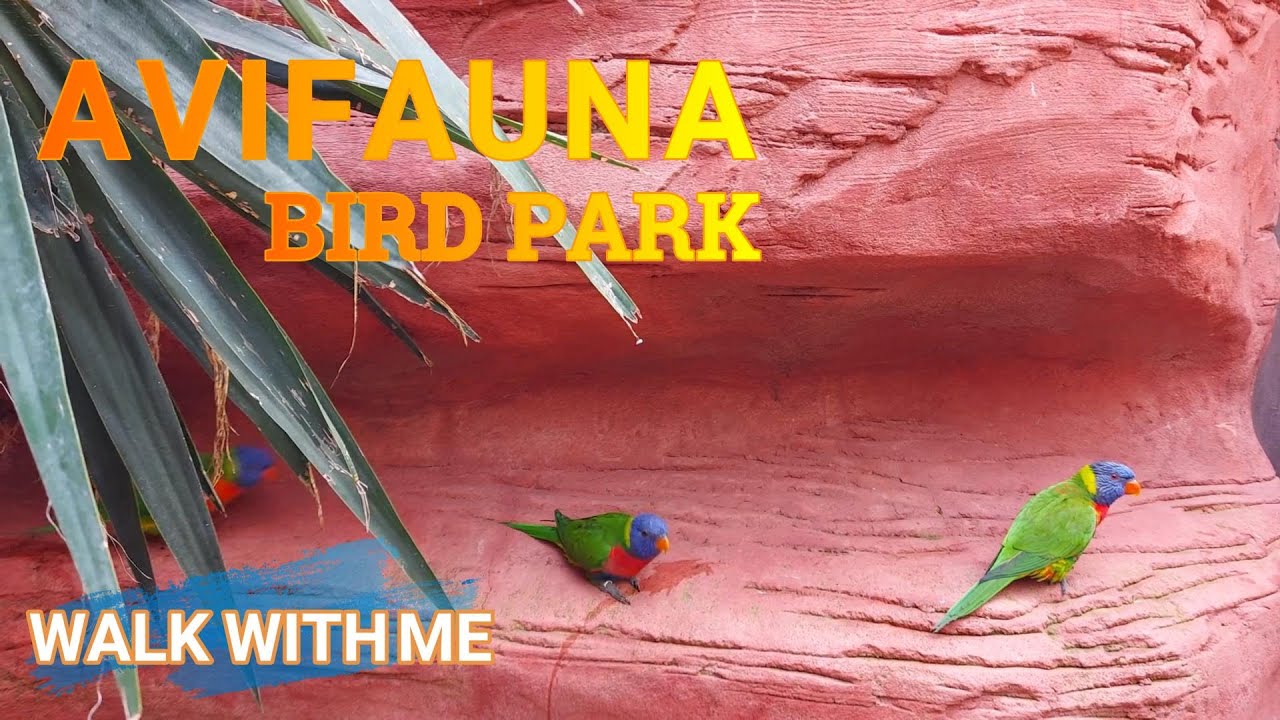 Avifauna Vogelpark The Netherlands