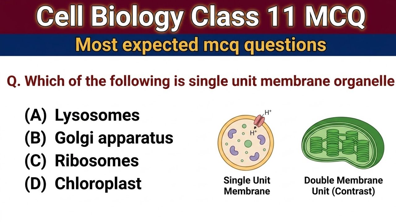 Cell Biology MCQ For NEET | Biology MCQ 2025 | Class 11 Biology