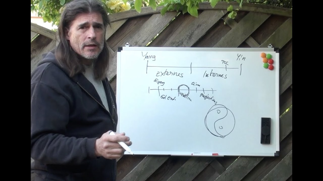 Tuishou, Pascal Plée, théorie et mises au point