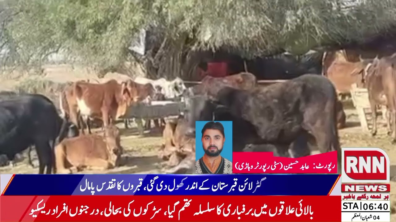 میلسی کے نواحی علاقے موضع ڈھمکی کا قدیم قبرستان مذکر شاہ قبضے کی زد میں