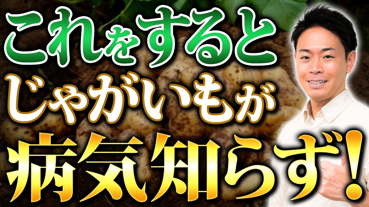 そうか病対策はここを見るべし！健康なじゃがいも作りの秘訣【家庭菜園 土づくり ガーデニング 害虫対策】