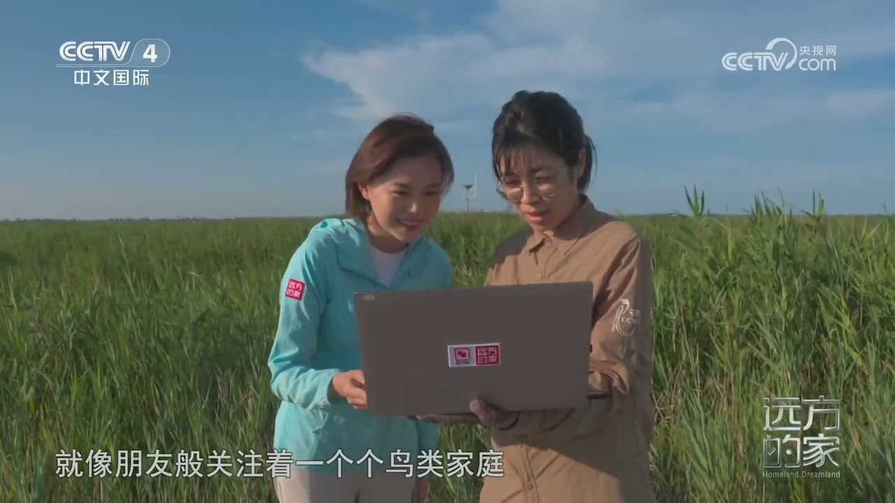 [远方的家]云端精灵 自然欢歌 黄河三角洲上的鸟类家园 | 中华地图
