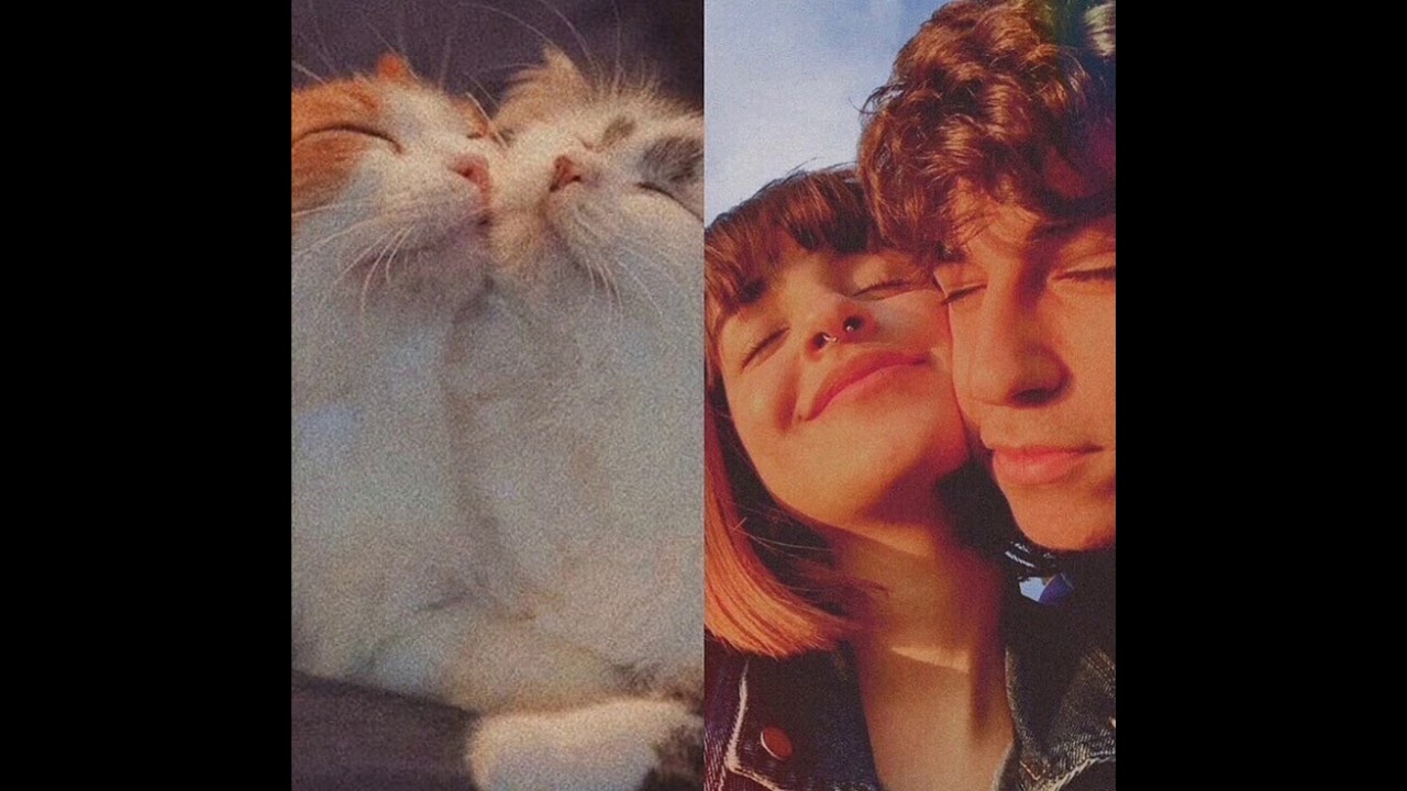 Dest & chef Bi - kimsin