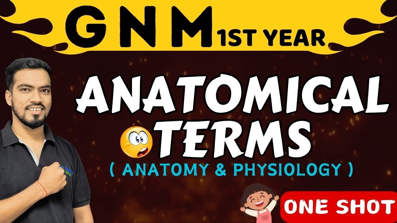 anatomical terms gnm 1st year | anatomy and physiology gnm 1st year |gnm 1st year anatomy | gnm 2024