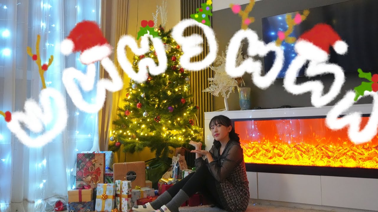 Video diary #4 : ✨️🎄ШИНЭ ЖИЛ🎄✨️