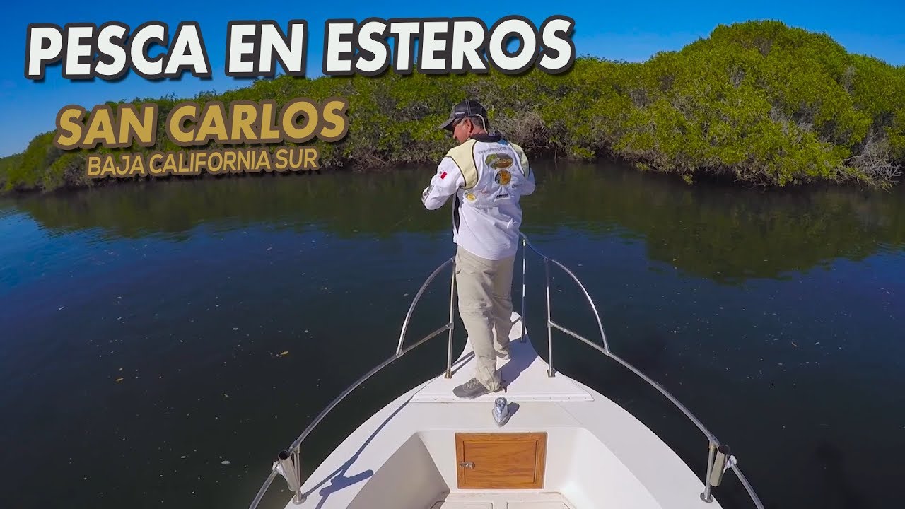Me fui de Pesca a San Carlos Baja California Sur