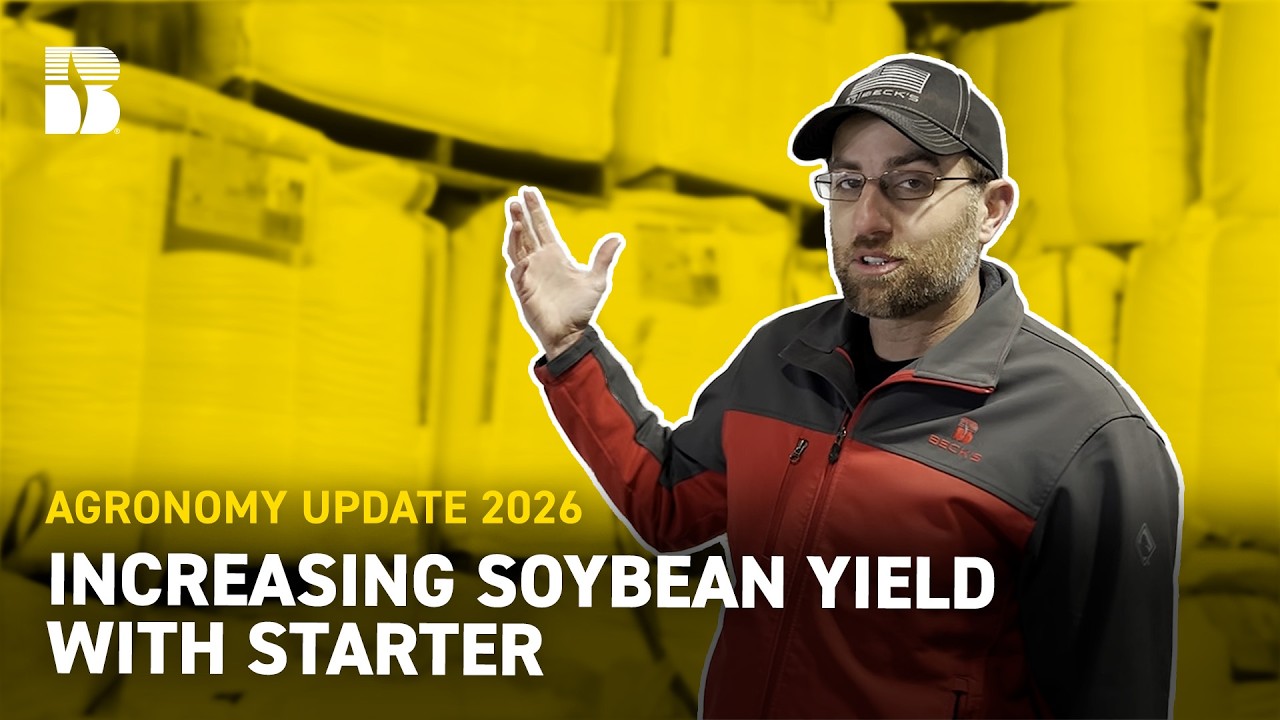 Increasing Soybean Yields With Starter