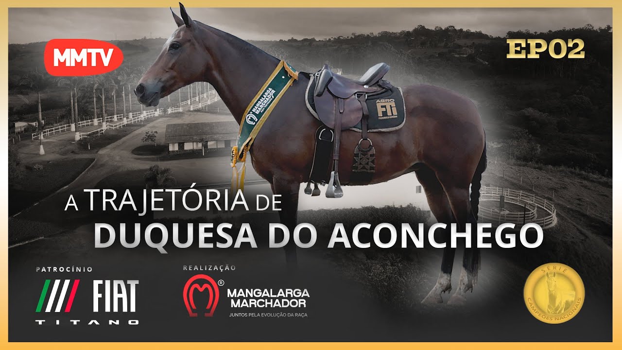 DUQUESA DO ACONCHEGO - A TRAJETÓRIA DE UM CAMPEÃO NACIONAL