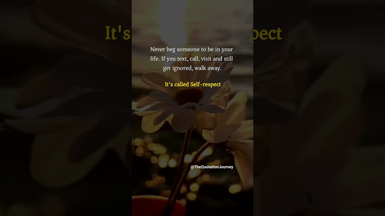 Never Beg for Love 💔 | Walk Away with Self-Respect ✨ #LifeLessons #Respect #Motivation