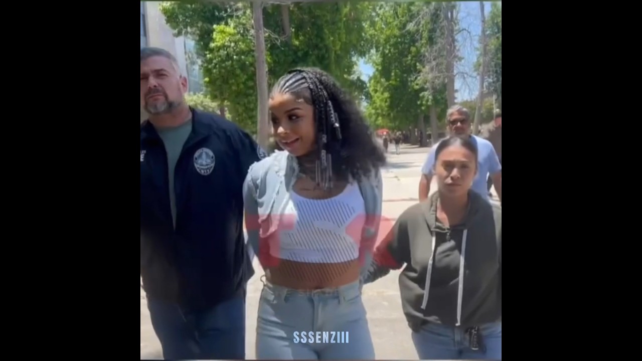 Chrisean rock got arrested AGAIN after going to visit blueface 