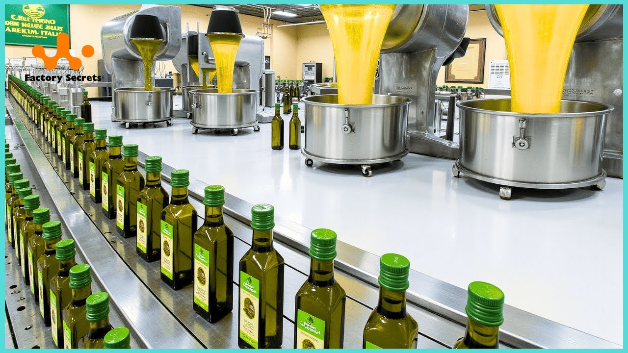 How Olive Oil Is Made – Inside the World’s Largest Olive Oil Factory