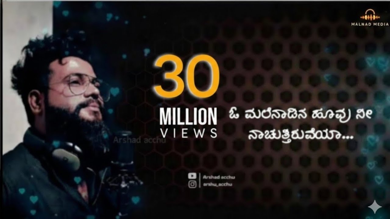ಮಲೆನಾಡಿನ ಹೆಣ್ಣು Malenadina hennu Full lyrical song||anbe peranbe Tamil song||singer arfaz ullala
