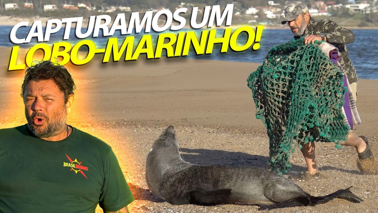 CAPTURAMOS UM LOBO-MARINHO FEROZ NO URUGUAI! | RICHARD RASMUSSEN