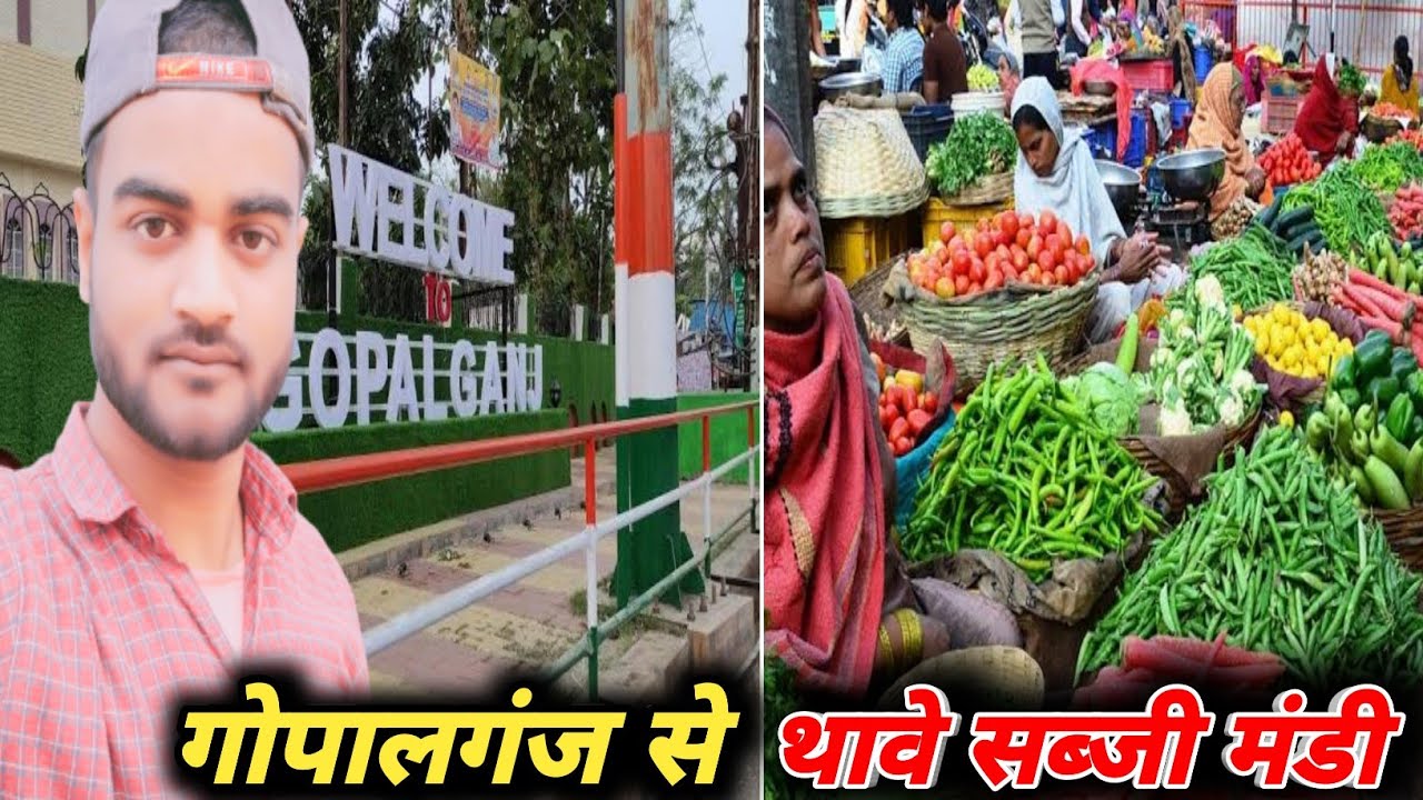 Gopalganj To Thawe || गोपालगंज से थावे सब्जी मंडी || SK Open Creator