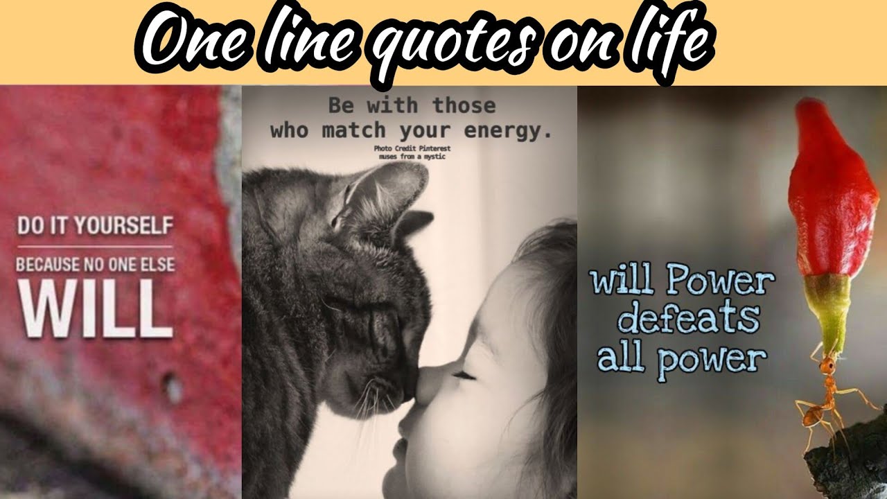 One Line Quotes On Life || Motivational Quotes In English || Life Lessons