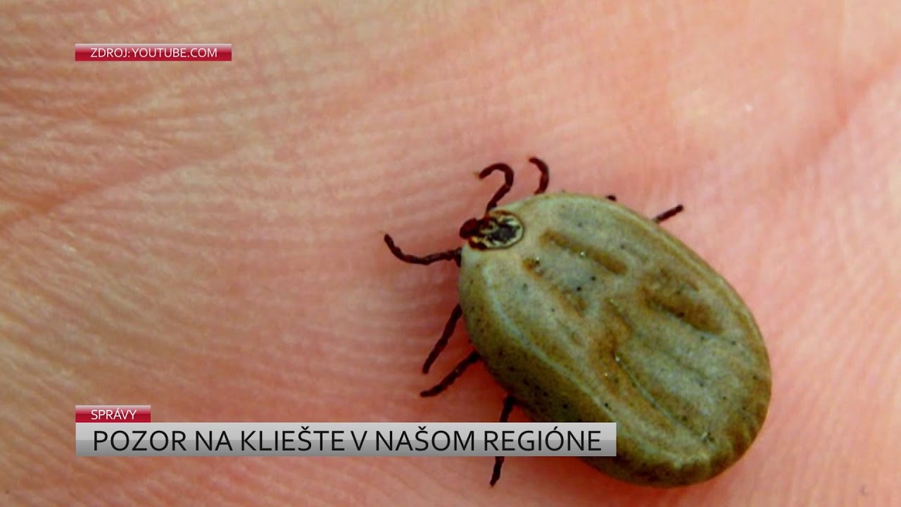 Pozor na kliešte v našom regióne