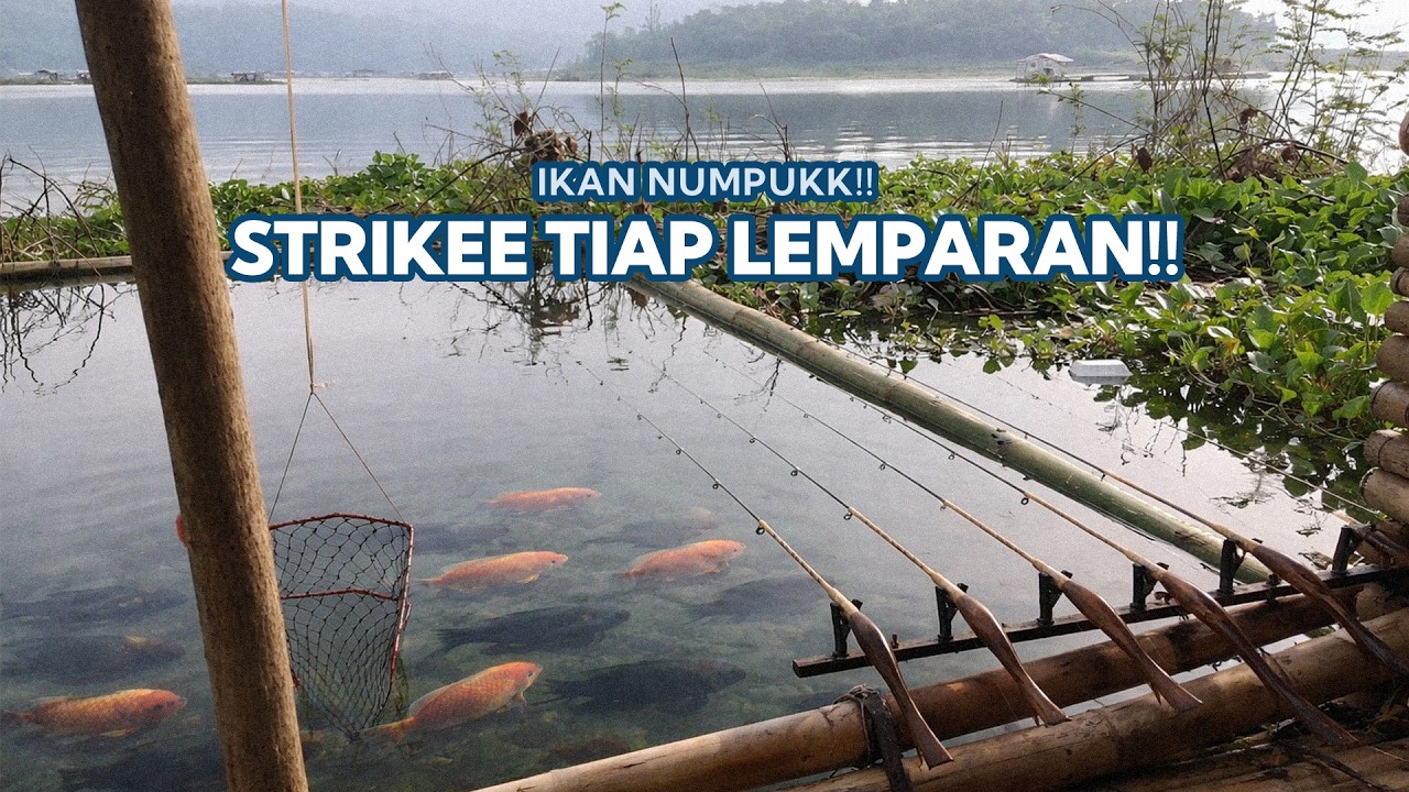 SPOT LIAR TERBARU 🔥 Ikan Numpuk, STRIKEE Tiap Lemparan!! - Mancing Cirata Terbaru 2026&nbsp;#19