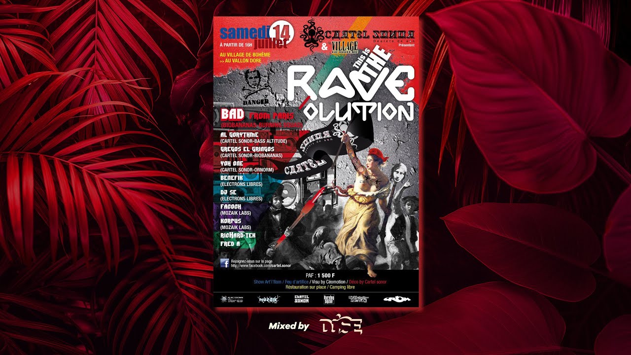DJSE @ This Is Rave'Olution (DJ set - july 2012)