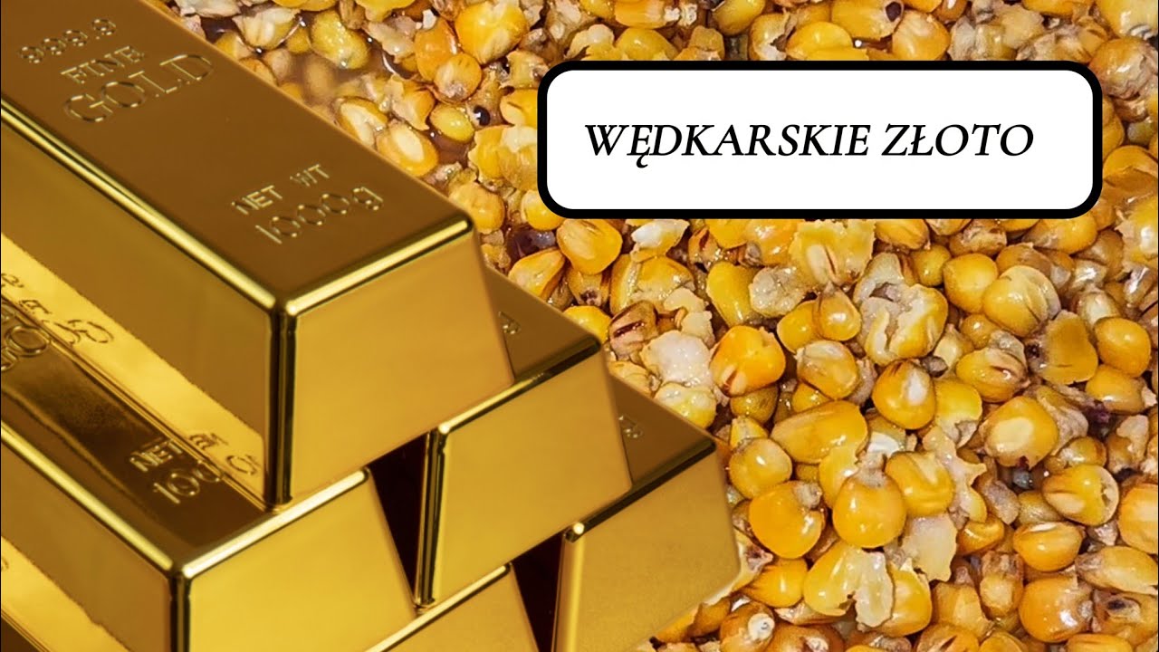 W 10 minut dowiesz się jak przygotować gotować kukurydzę na ryby