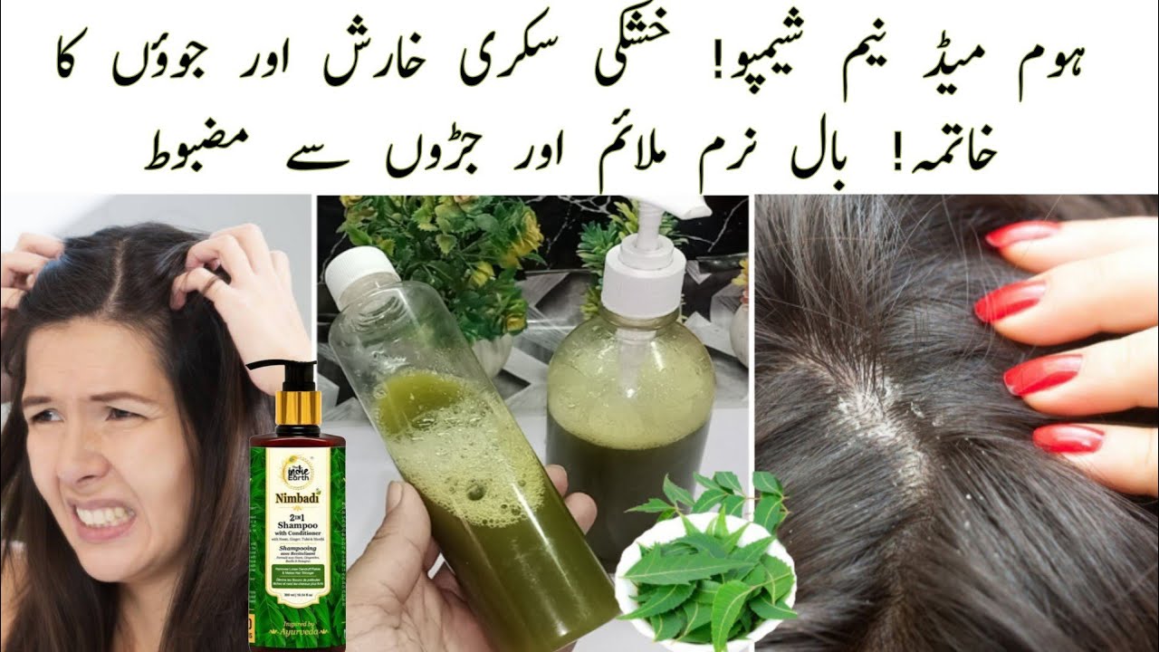 Anti Dandruff Anti Lice Homemade Neem Shampoo | Best For Hair Fall | Thick Strong & Soft Hair