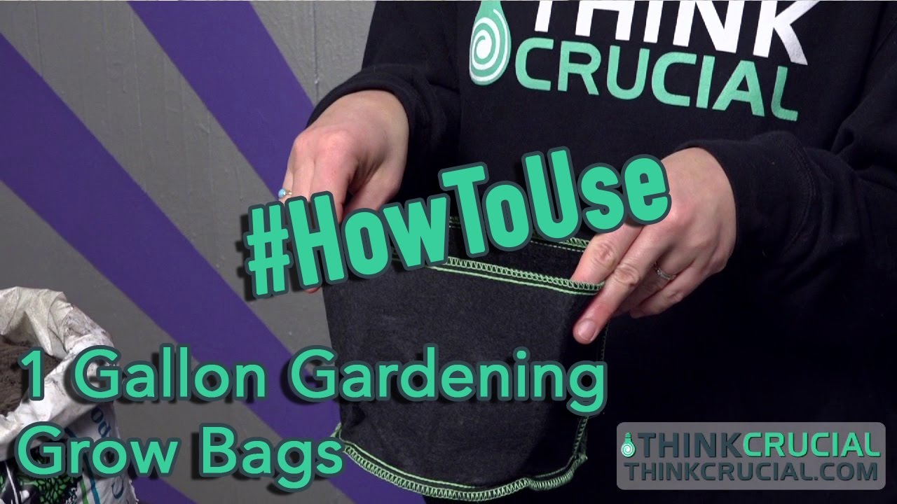 How to Use Your 1 Gallon Plant Grow Bag