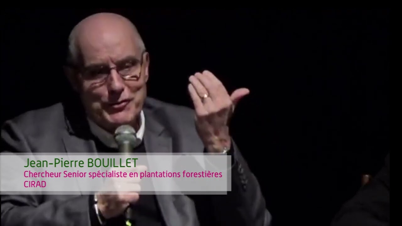 Le charbon de bois, énergie durable ou menace pour l'environnement?