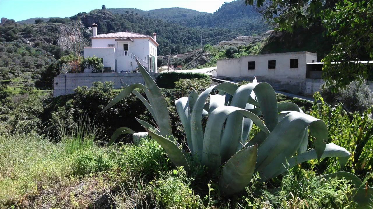 Guajar Alto