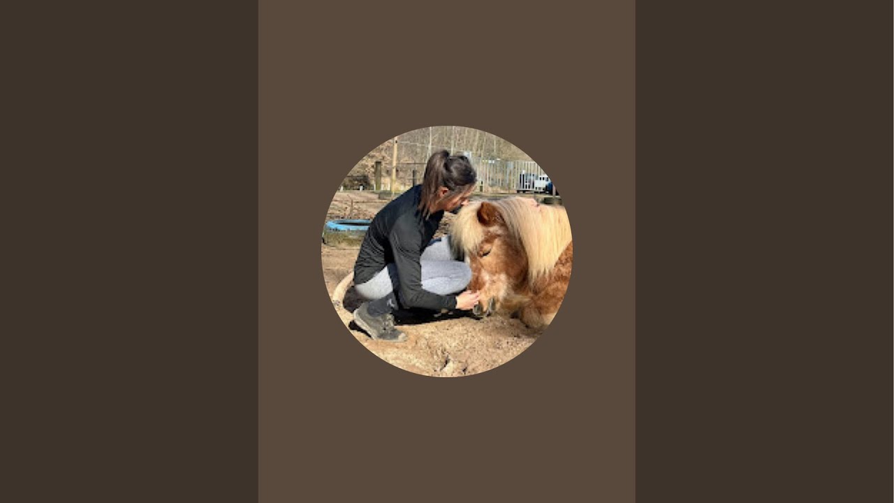 Carina überträgt einen Livestream.