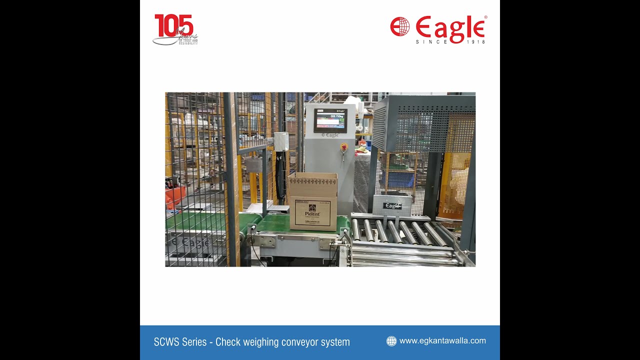 Conveyor Weighing System For Cartons - Application Video